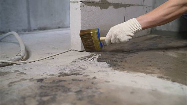 SJ Waterproofing Pros Waterproofing coverage map for Glenwood, GA and surrounding area